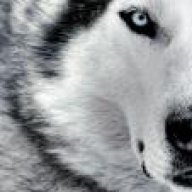 امیر حسن پور